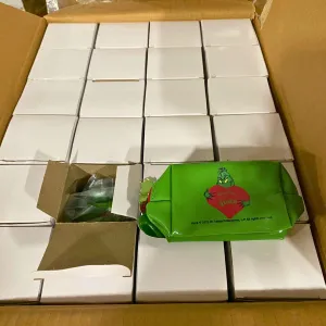 Revolution X The Grinch I Had Fun Once It Was Awful Cosmetic Bag (72 Pcs Lot)