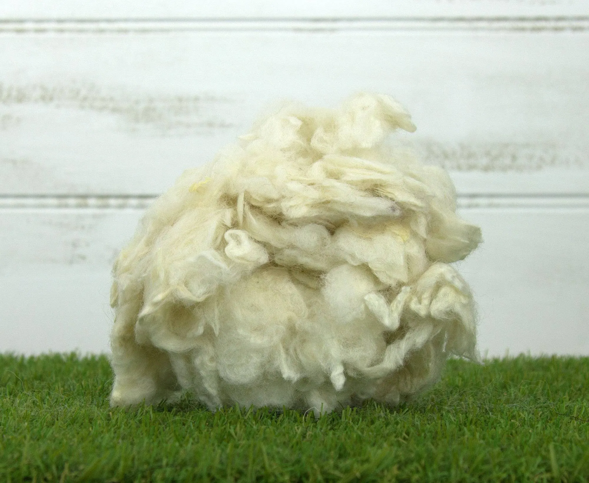 Scoured Perendale Lambswool