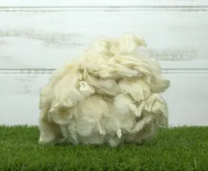 Scoured Perendale Lambswool
