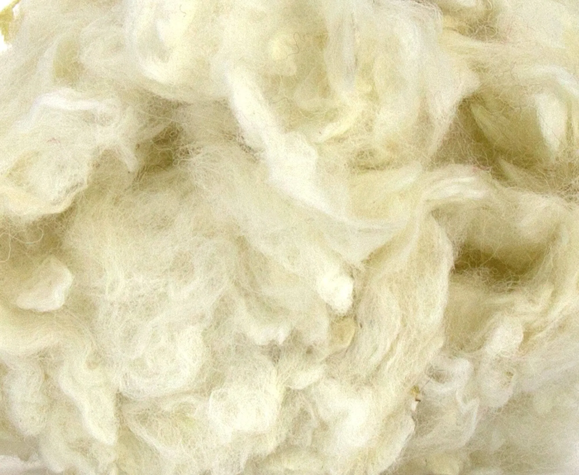 Scoured Perendale Lambswool