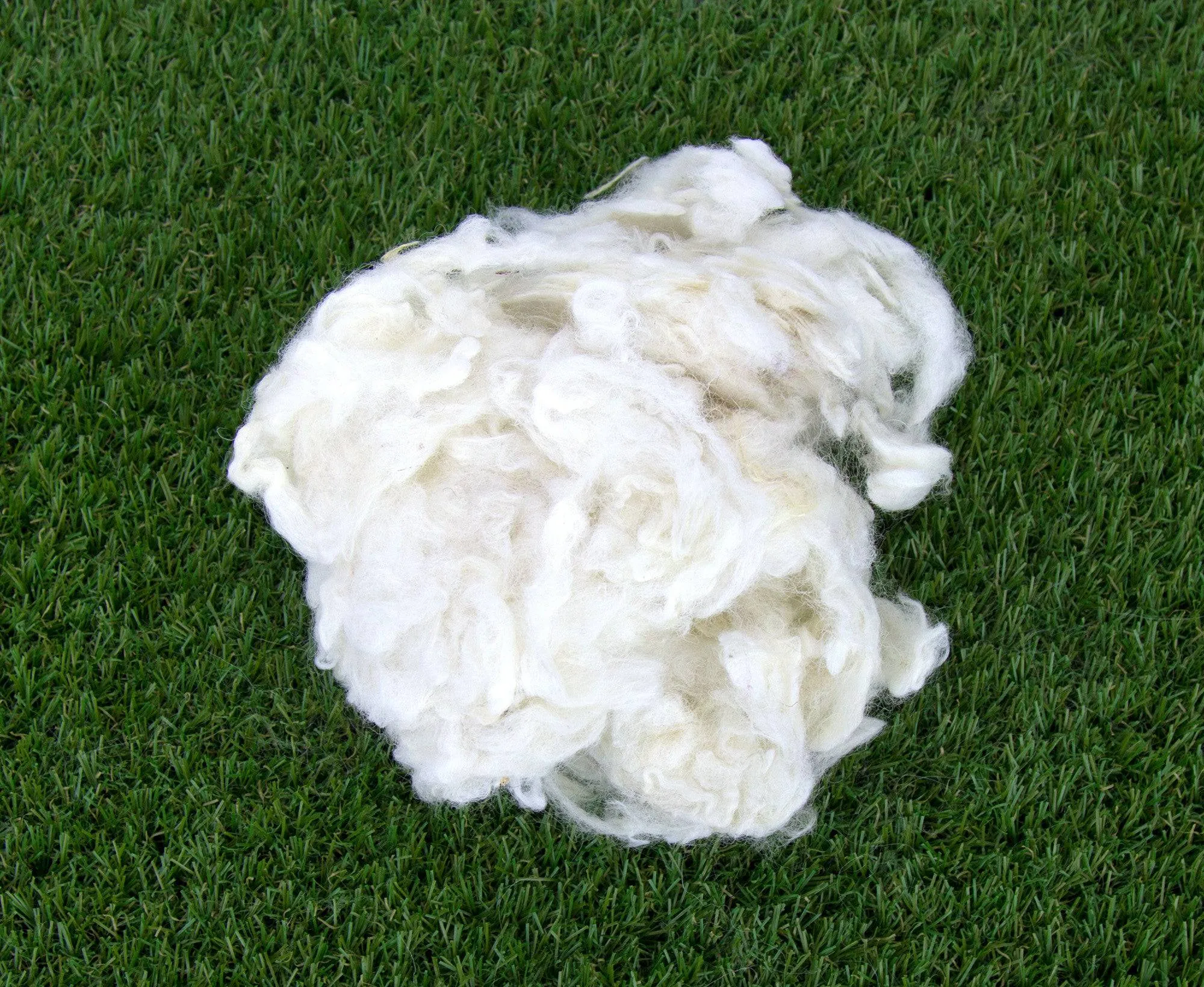 Scoured Perendale Lambswool