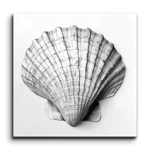 Seashell Symphony: Monochrome Masterpiece