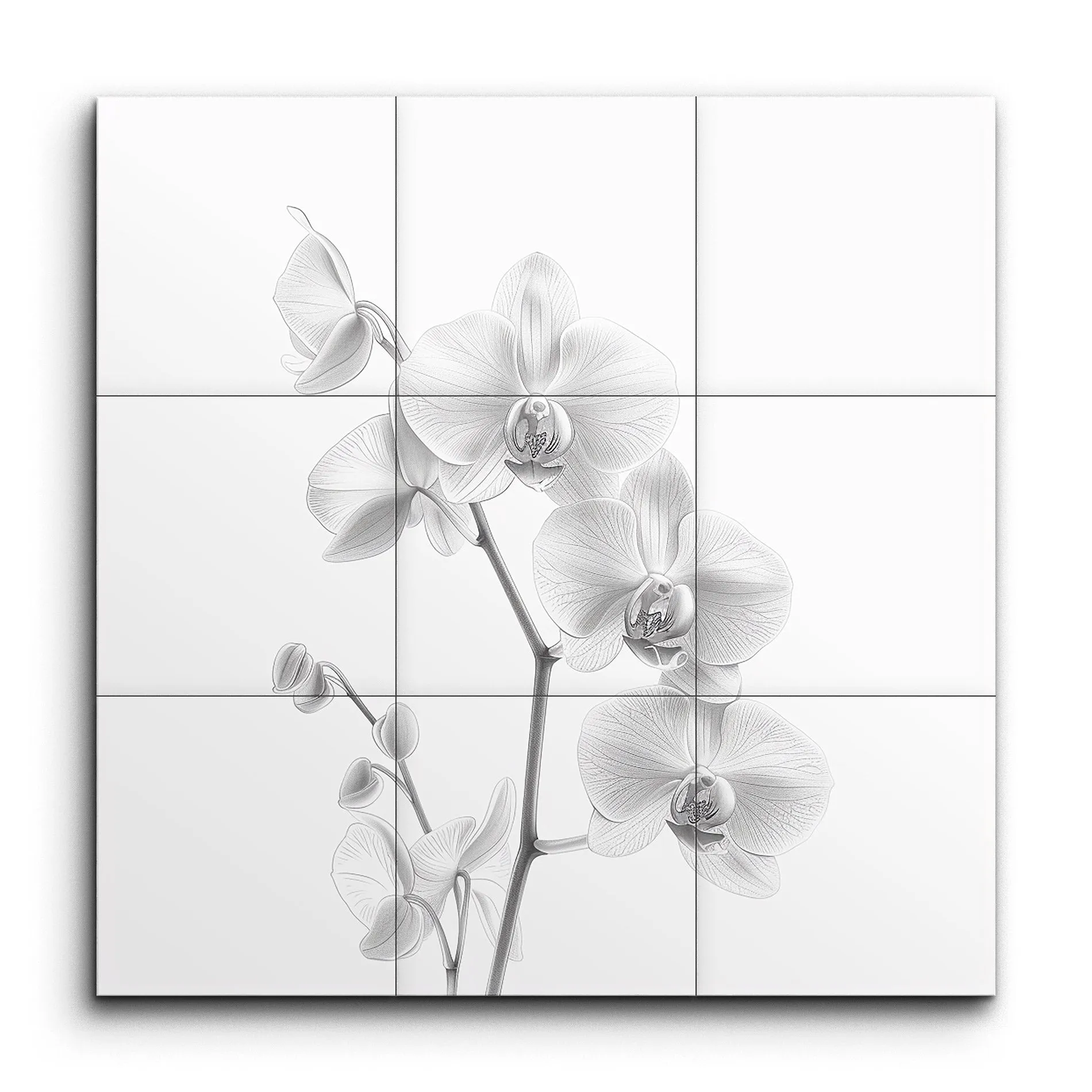 Serene Monochrome Orchid Elegance