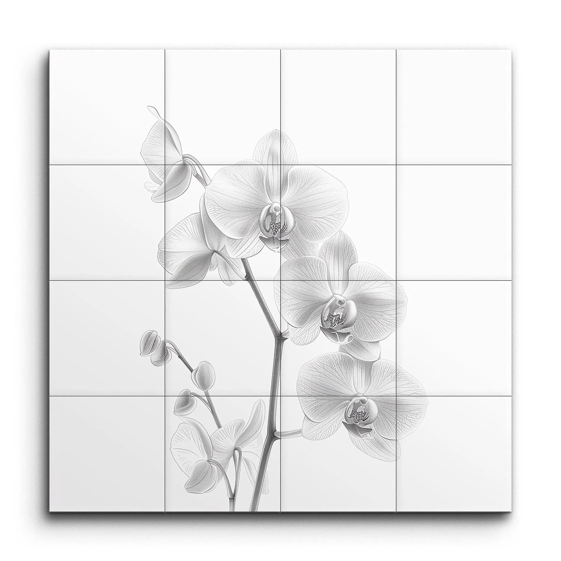 Serene Monochrome Orchid Elegance