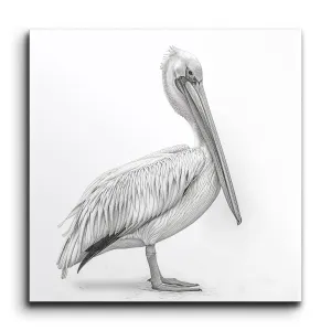 Serene Pelican: Monochrome Elegance