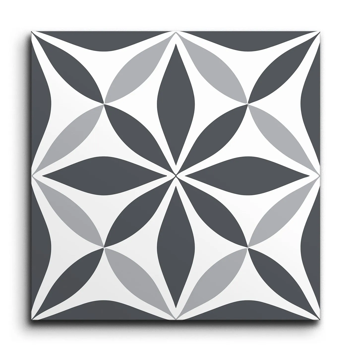 Starweave Monochrome Elegance