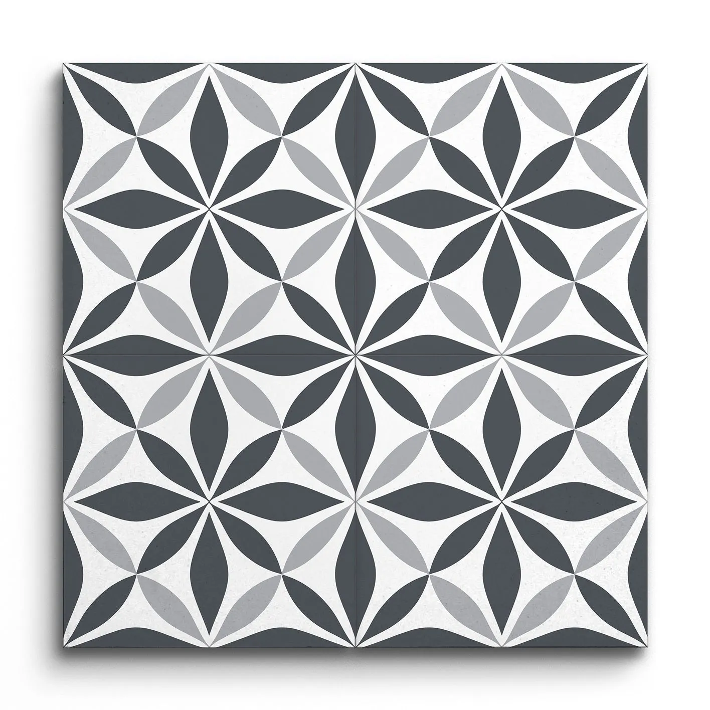 Starweave Monochrome Elegance