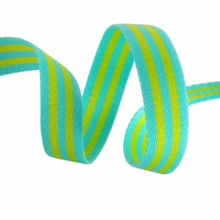 Tula Pink | Striped Nylon Webbing 1" (25mm) Wide (2 Yards)