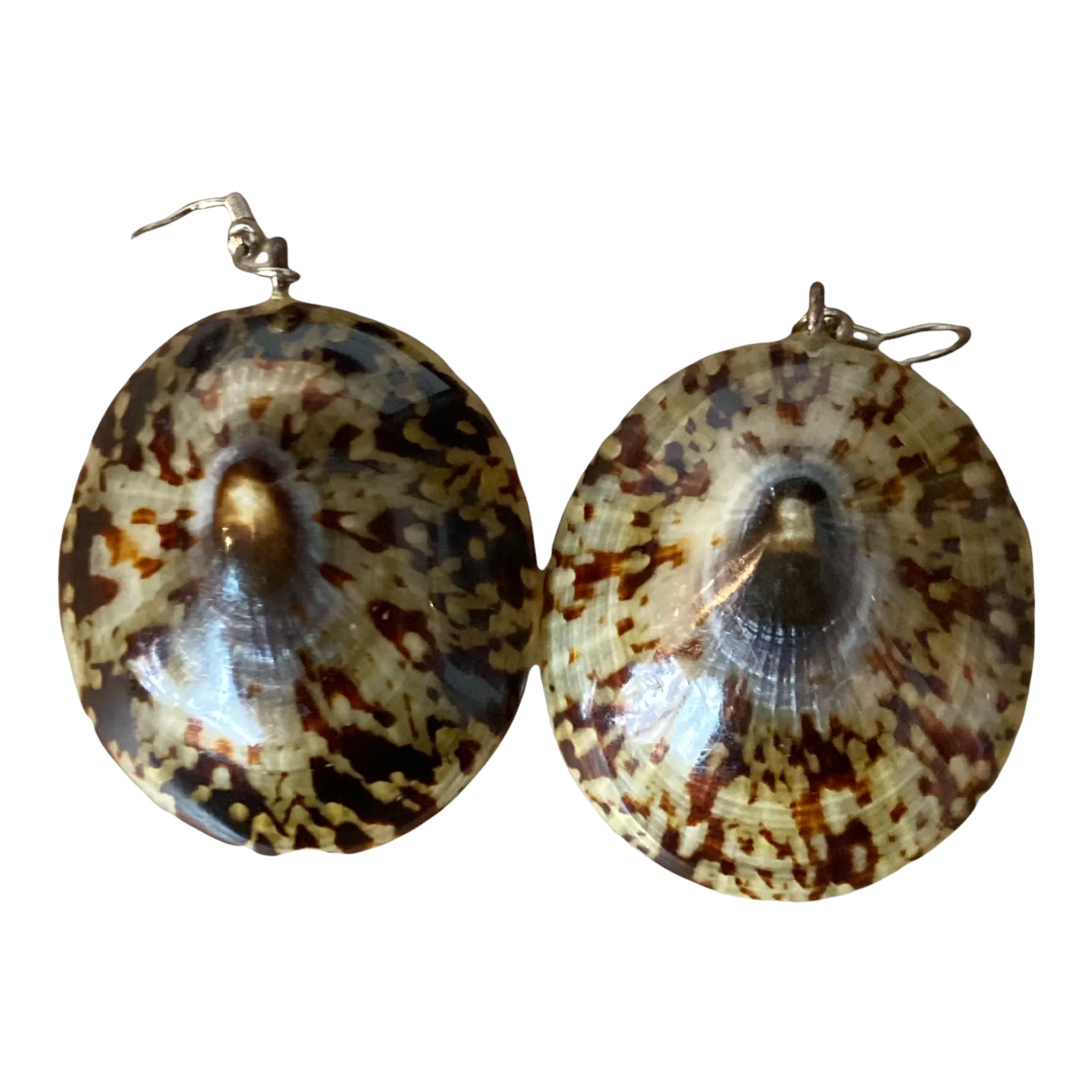 Vintage Phillippine Natural Limpet Earrings