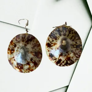 Vintage Phillippine Natural Limpet Earrings